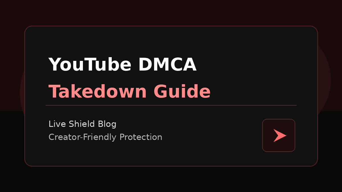 DMCA takedown guide visual
